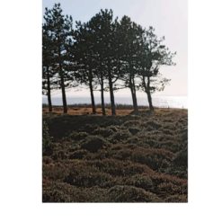 Nordic Knits 1 images 23