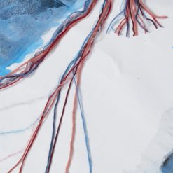 FAM269 Collection bilder 23