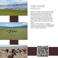 Alternative view of Punto 40 Noble Yarns