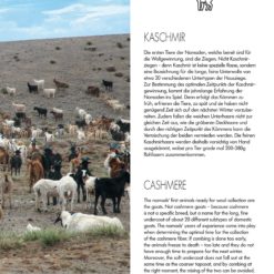 PTO040 Flipbook bilder 10