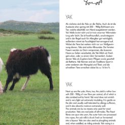 PTO040 Flipbook bilder 18