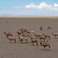 PTO040 Flipbook bilder 22