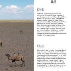 PTO040 Flipbook bilder 23