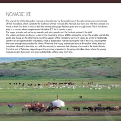 PTO040 Flipbook bilder 5