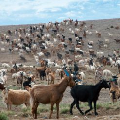 PTO040 Flipbook bilder 9