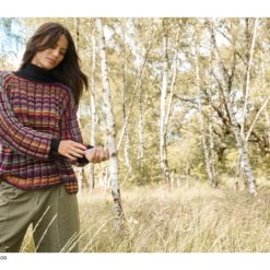 hw2024 gomitolo 14 farbteil lana grossa bilder 29